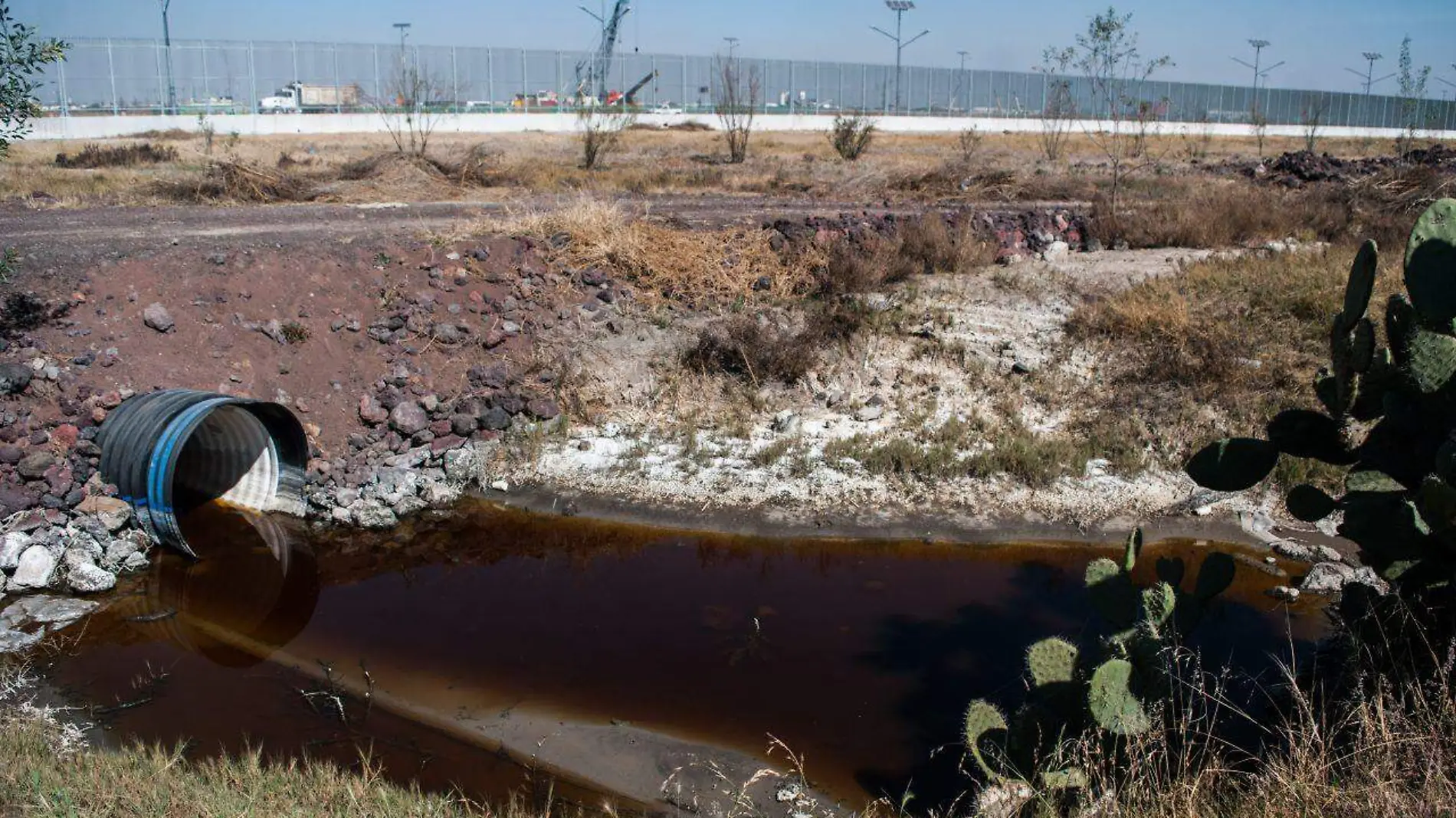 lago de texcoco naim aeropuerto