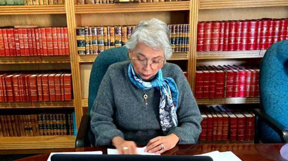 olga sanchez- segob.medidas covid