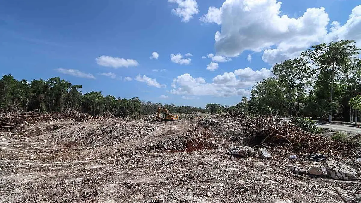 Deforestacion-por-Tren-Maya