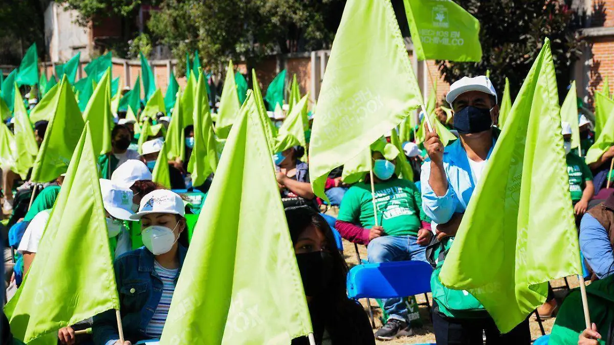 partido verde banderas