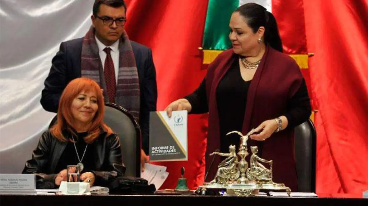 CNDH_Diputados_-informe-rosario-piedra
