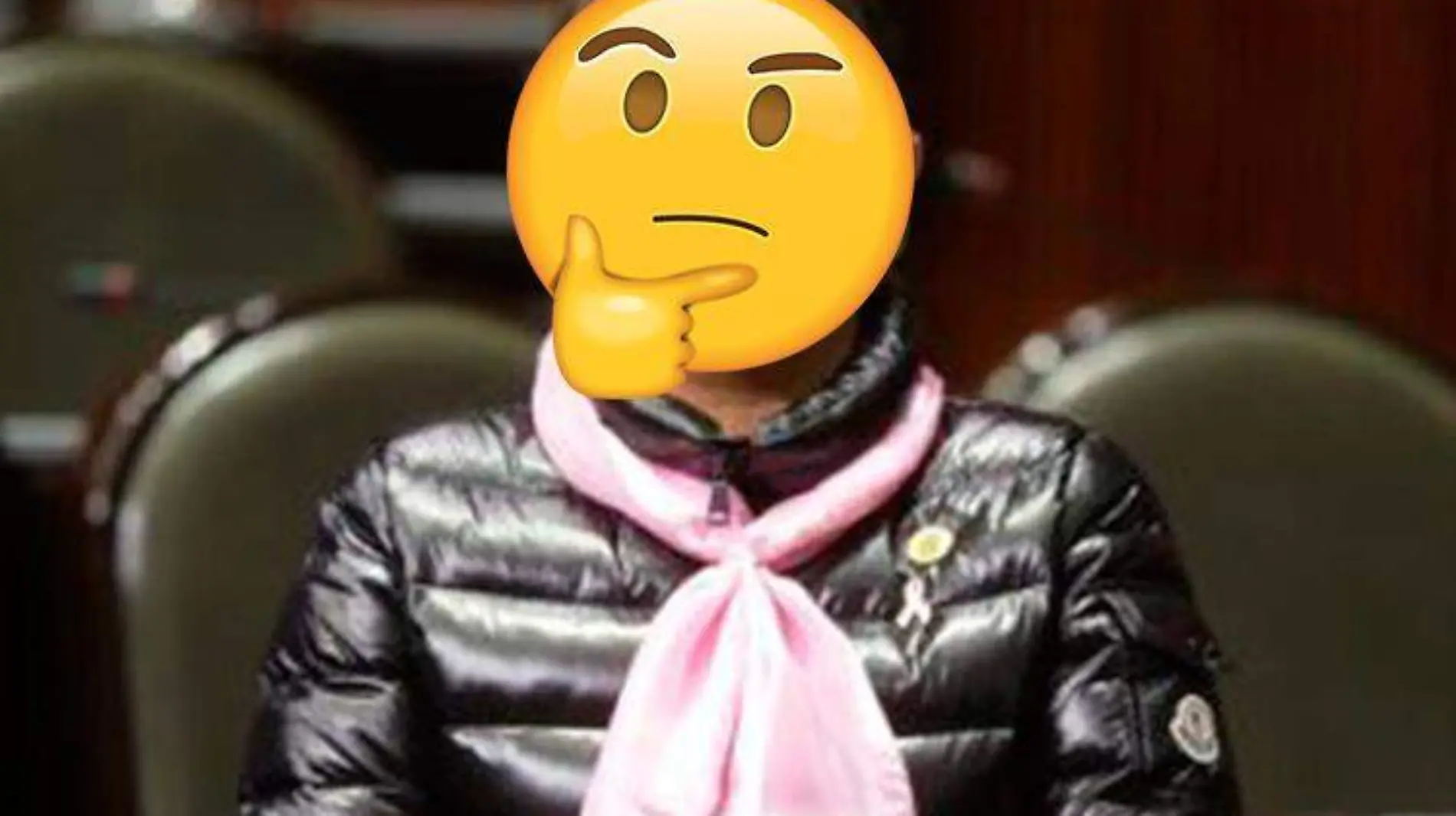 Diputada-Monica-Bautista_chamarra-moncler-emoji