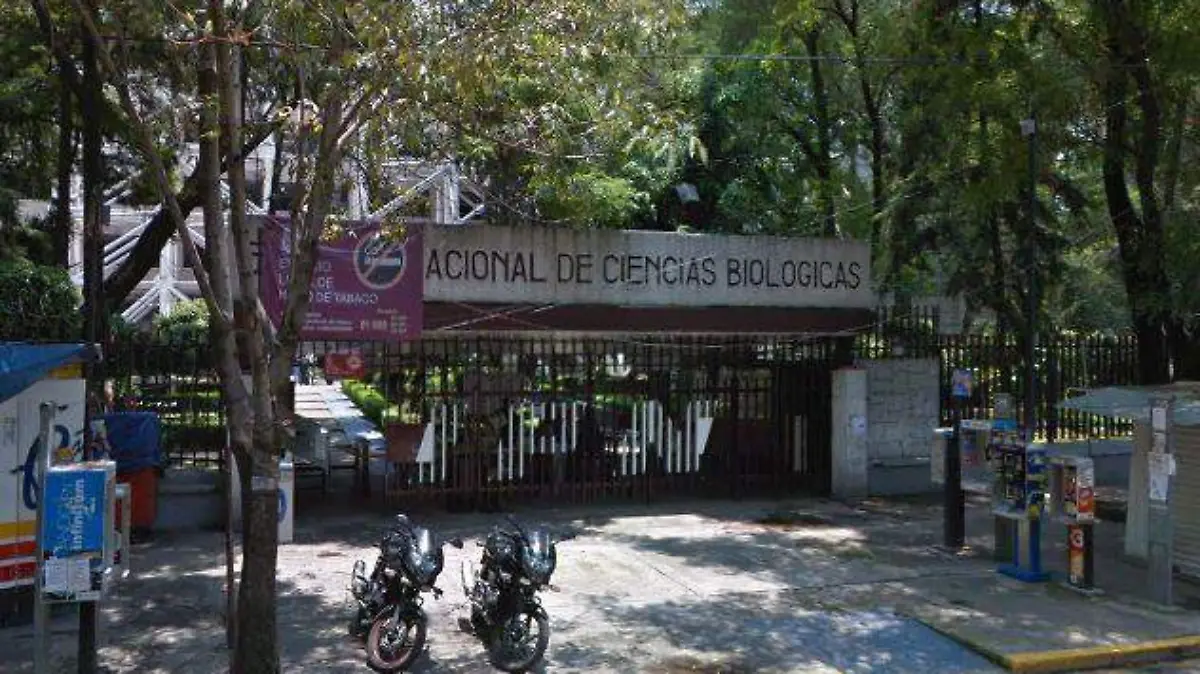 ipn escuela ciencias biologicvas