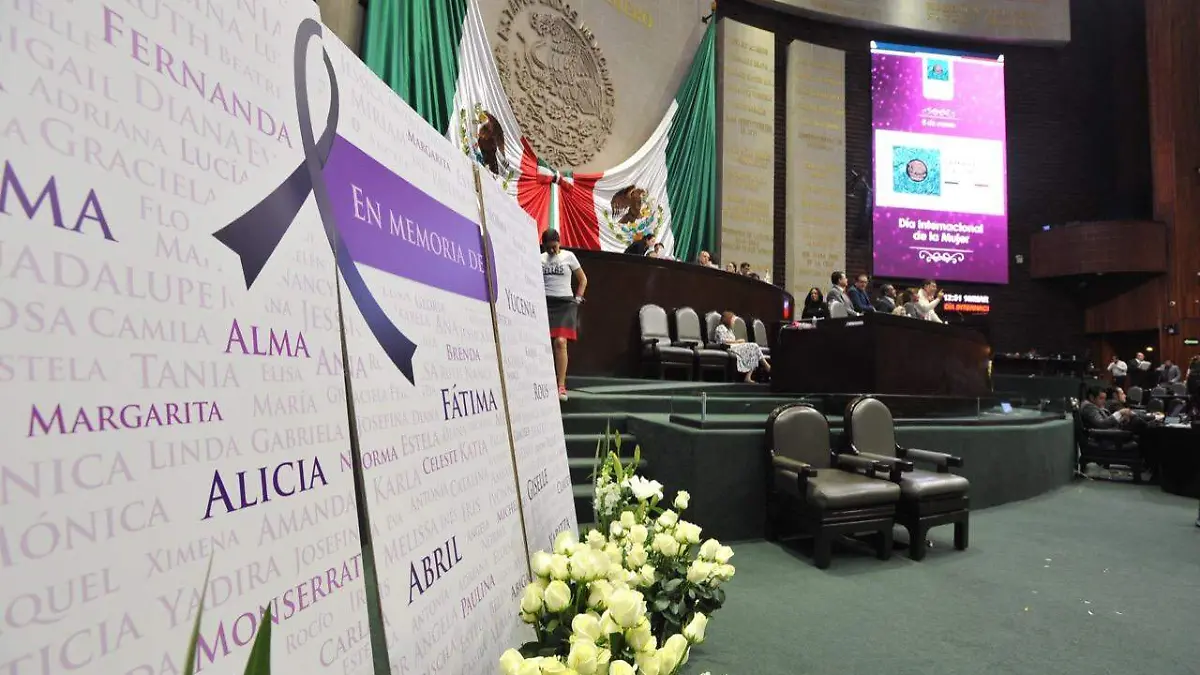 dia internacional mujer san lazaro camara de diputados feministas laura lovera