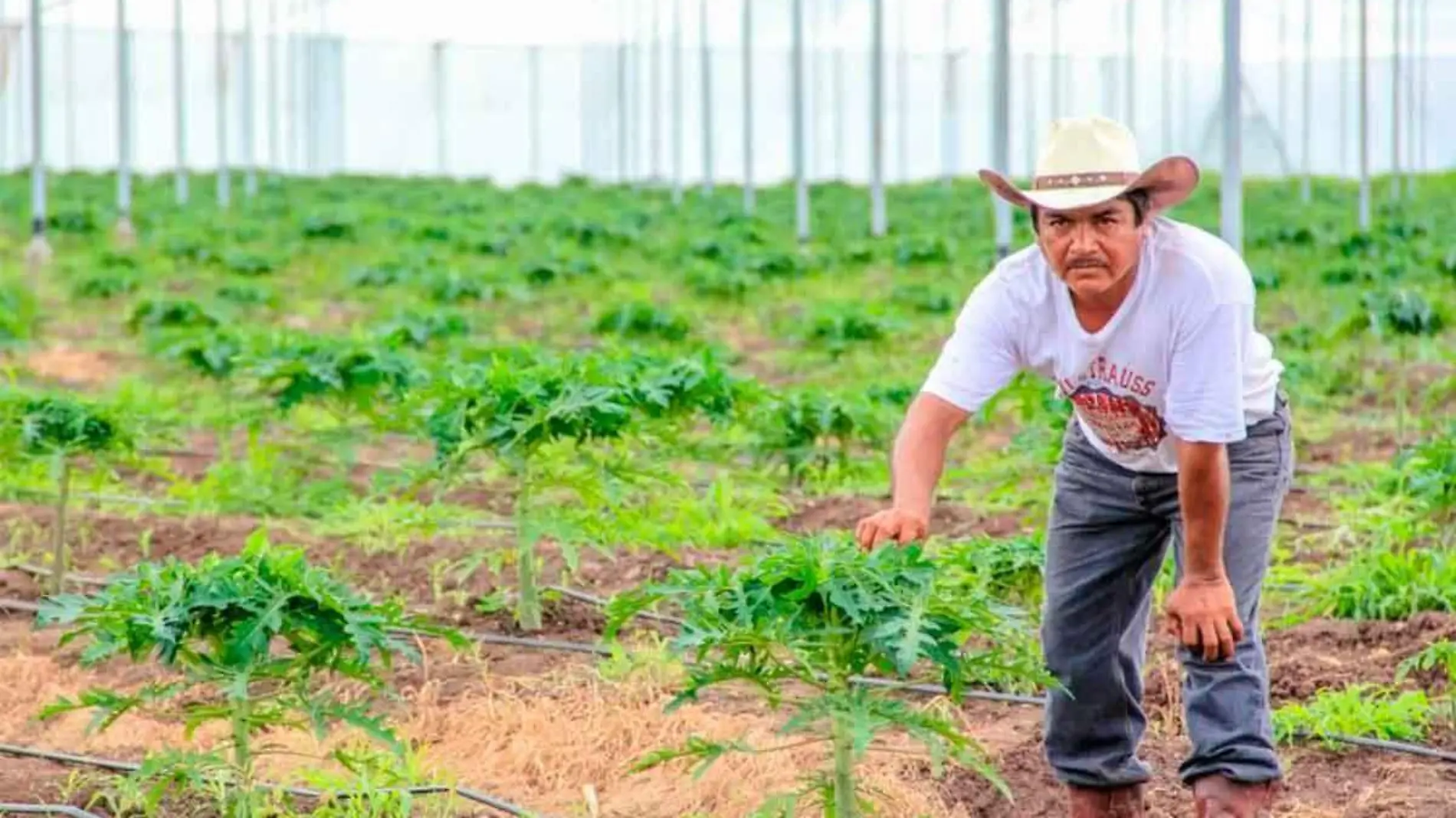 Agricultores_Agricultura