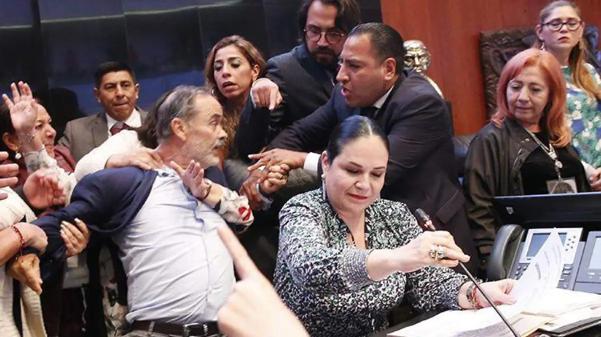 Senado_PAN_Protestas-rosario-piedra-cndh