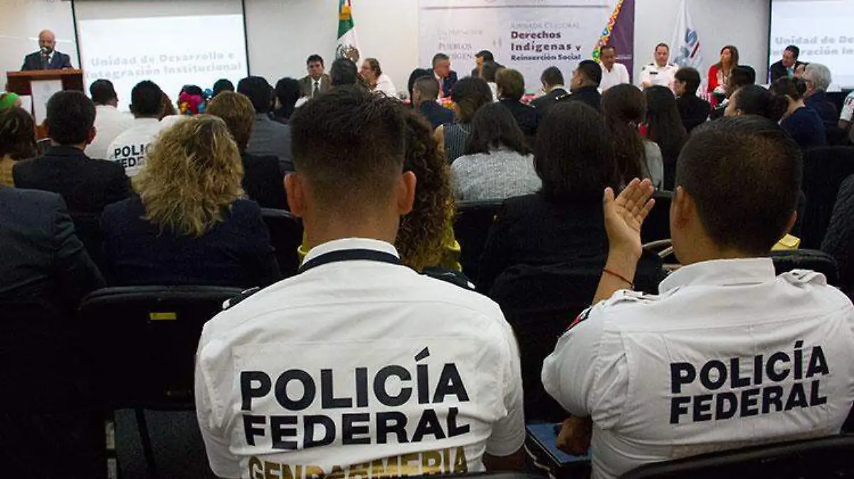 Policia-Federal_comision-nacional-seguridad