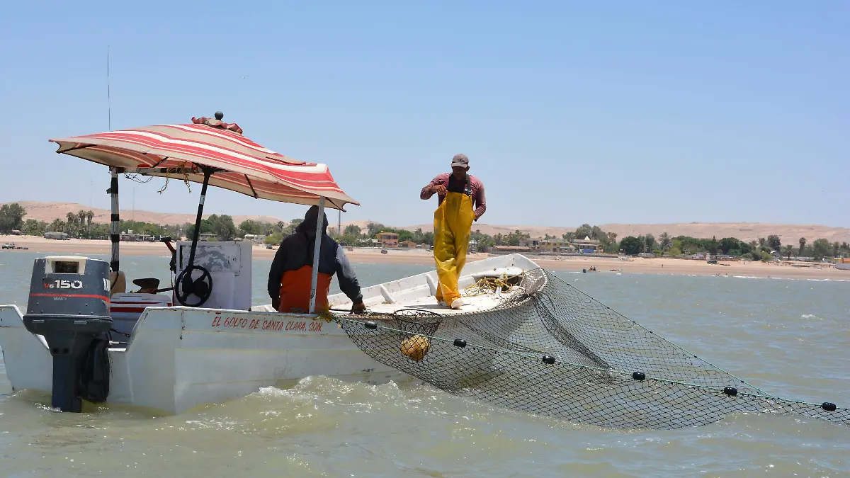 Pesca sonora 5