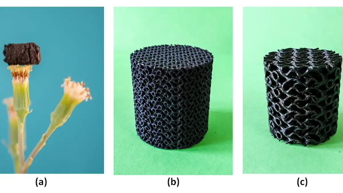 Art. MEXICO FIG. 1 (WEB)