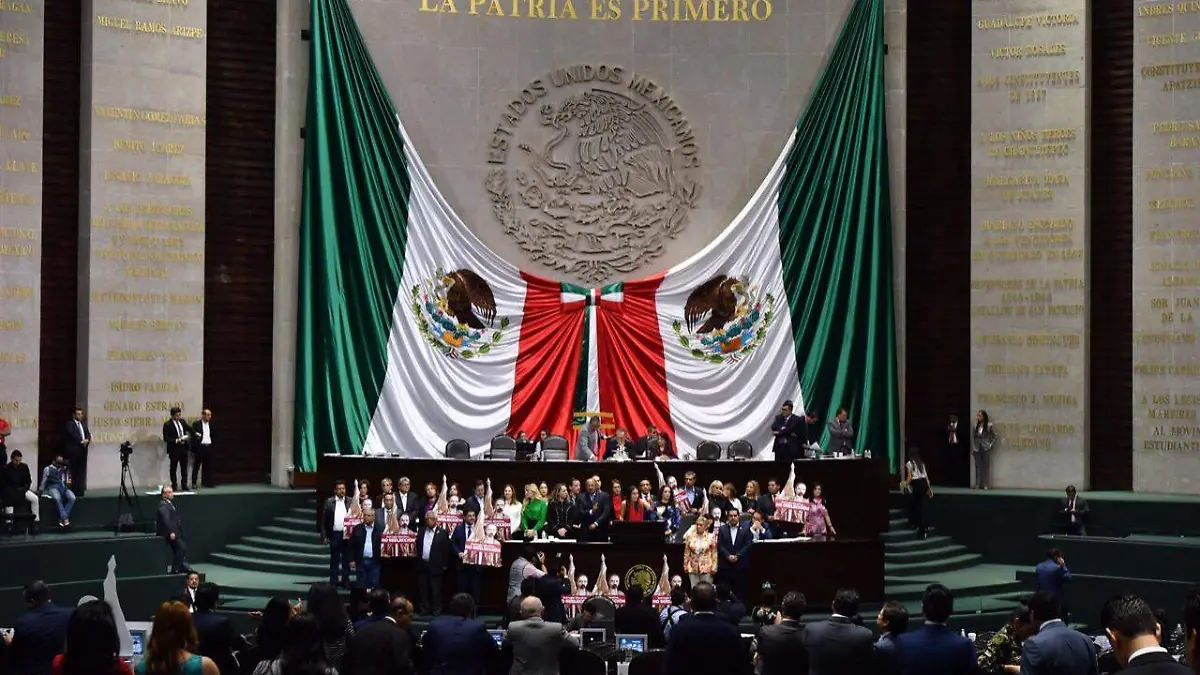 revocacion de mandato diputados laura lovera 3