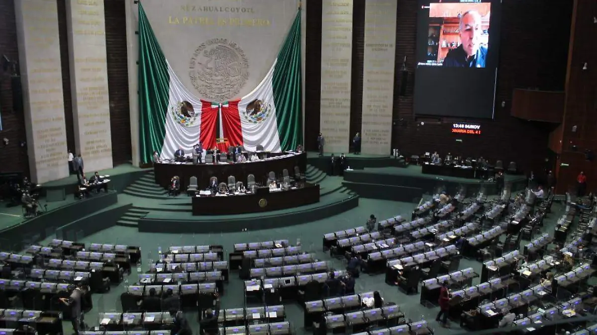 camara de diputados pandemia covid