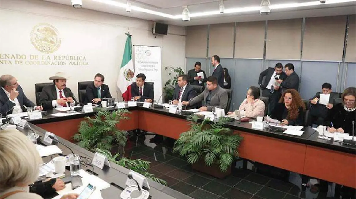 senado