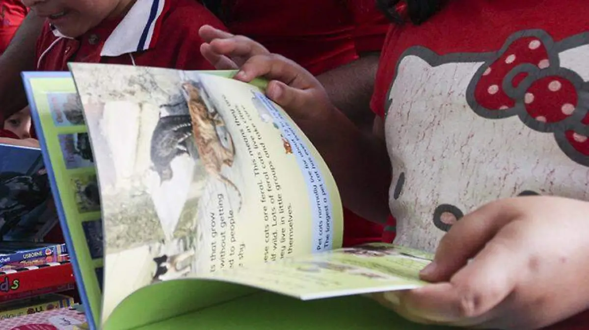 libro-de-texto