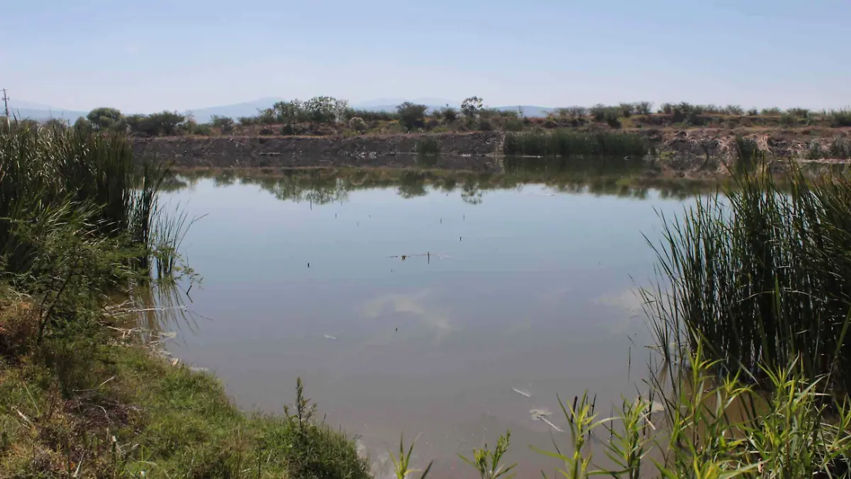Guadalajara A drenaje y, con suerte, a chocolate 3