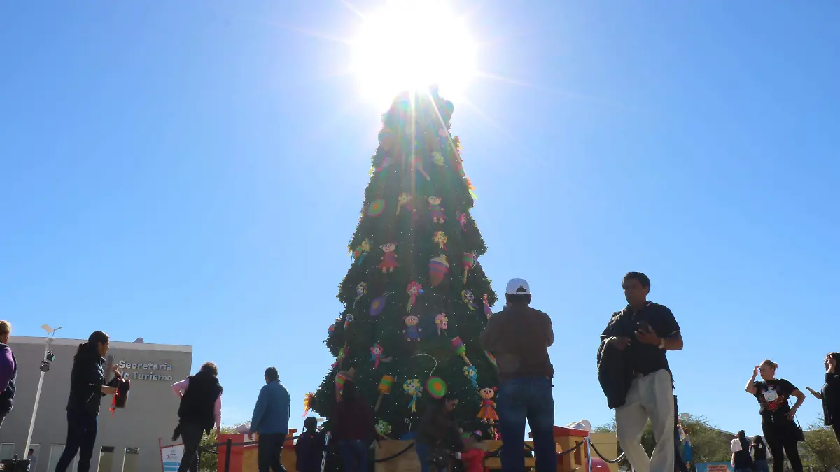 Parque-Guanajuato-Bicentenario  (1)