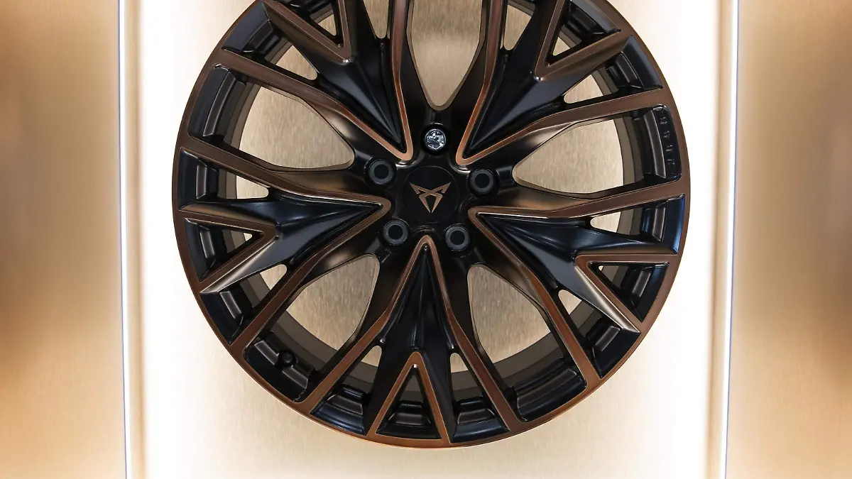 CUPRA Garage San Luis (5)