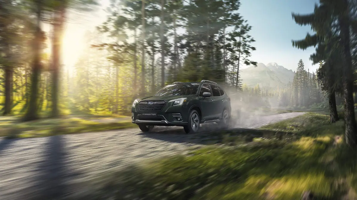 Forester Touring Cascade