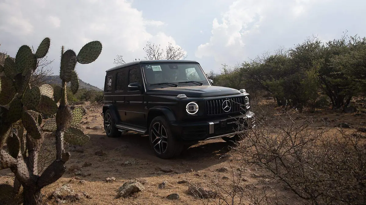 mercedes.benz.exper-1485