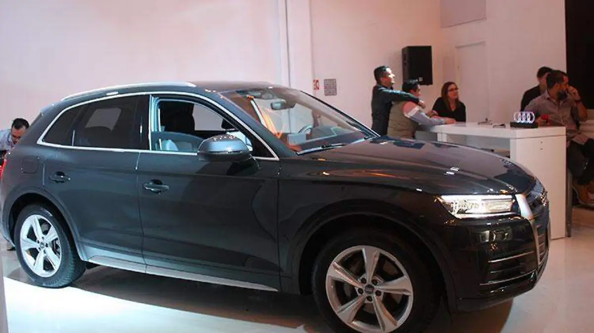 audi-Q5-Security-2