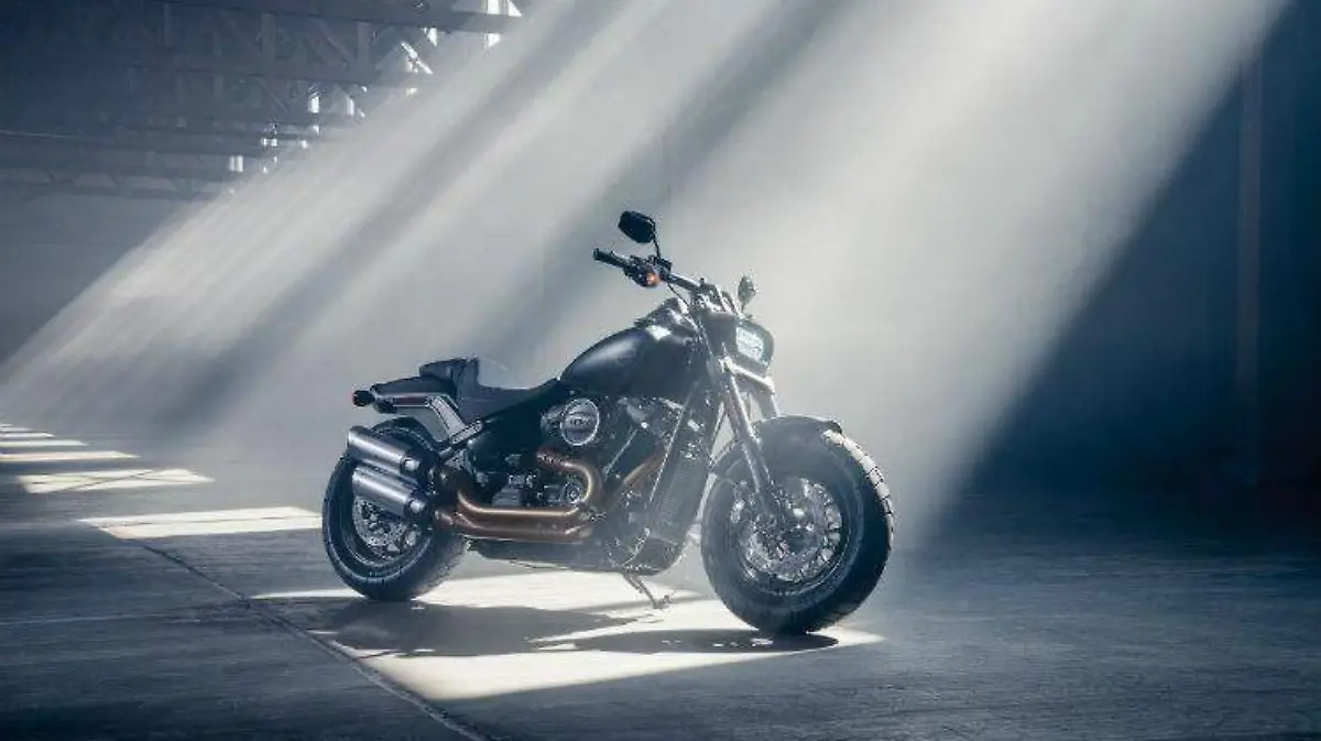 Harley-davidson-soft