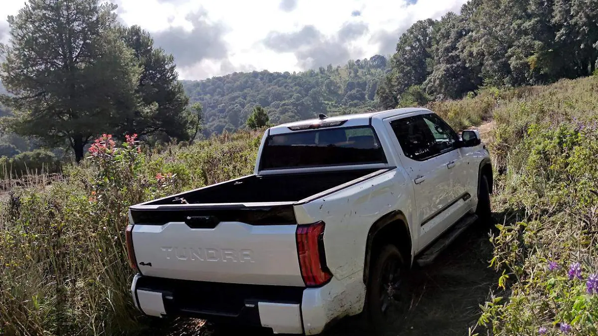 tundra_exterior_prueba_01_web