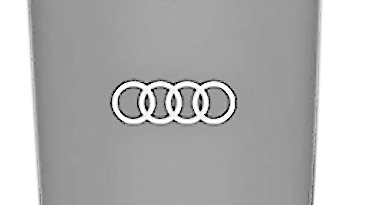07_vaso_audi