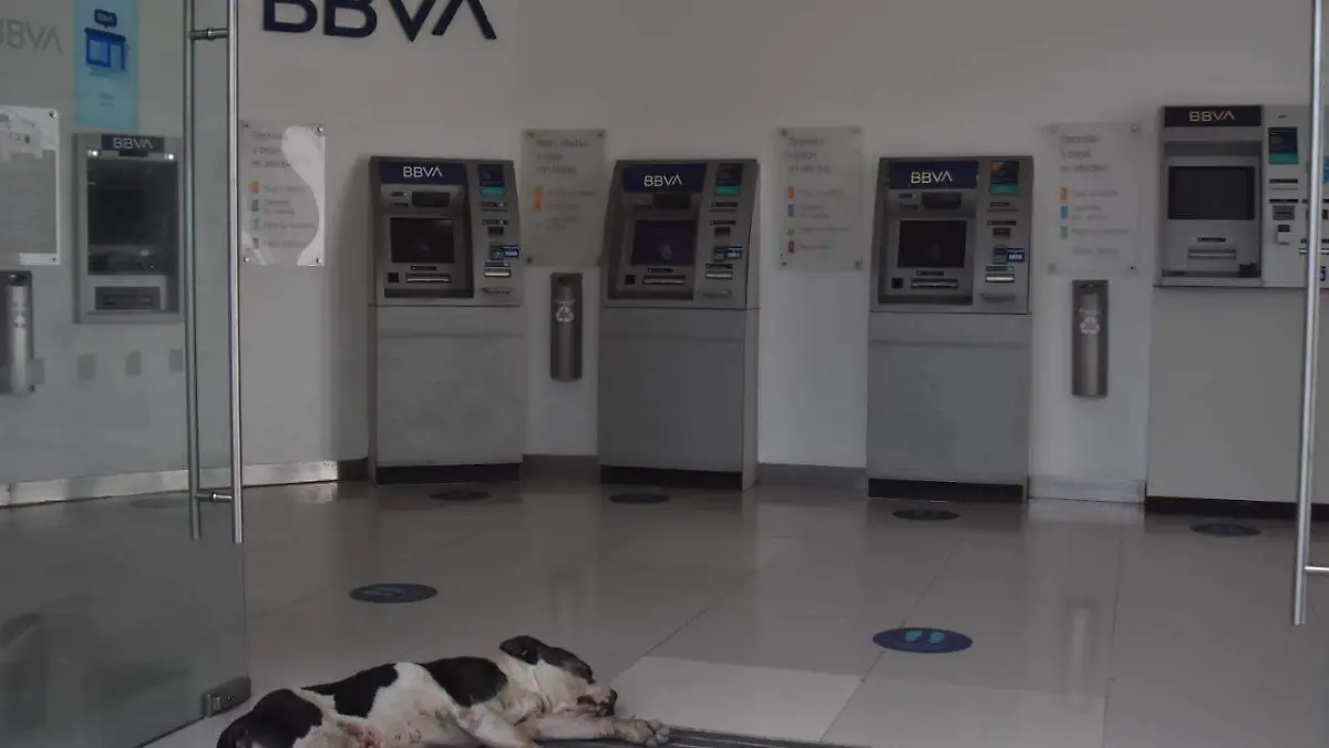 BBVA en Irapuato, G.