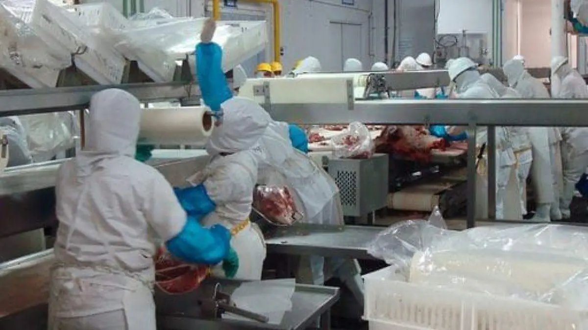 Productos cárnicos