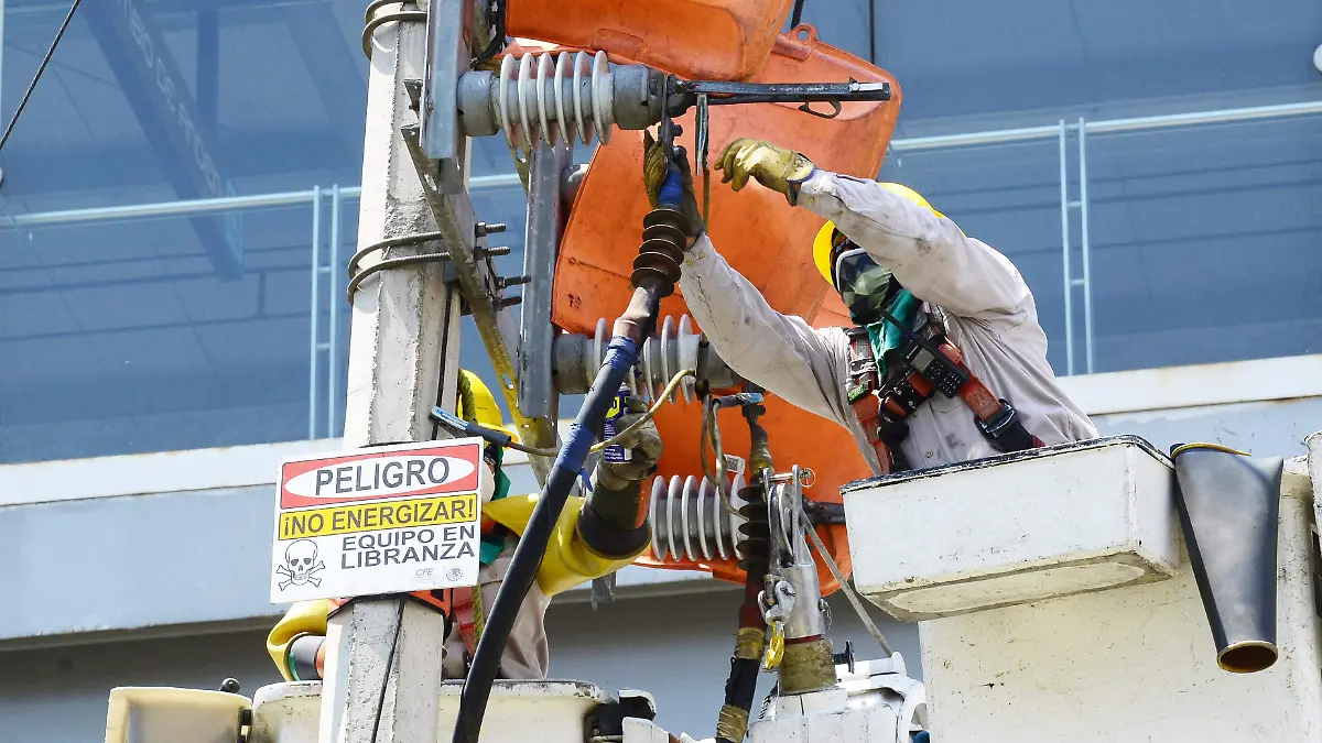 CFE-TRABAJADORES-federico xolocotzi (1)