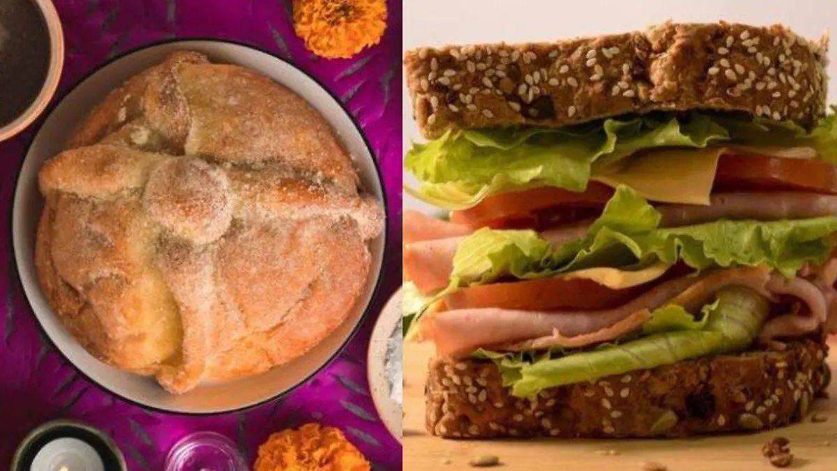 Diseño sin título - 2022-10-31T155334.705