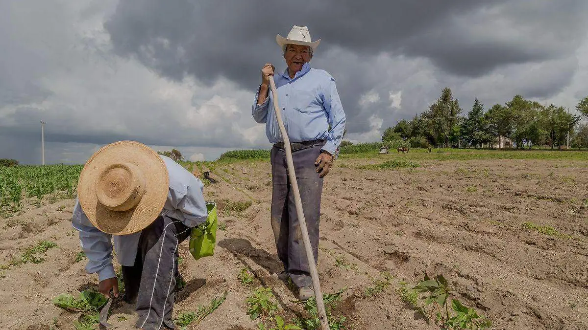 Agricultores