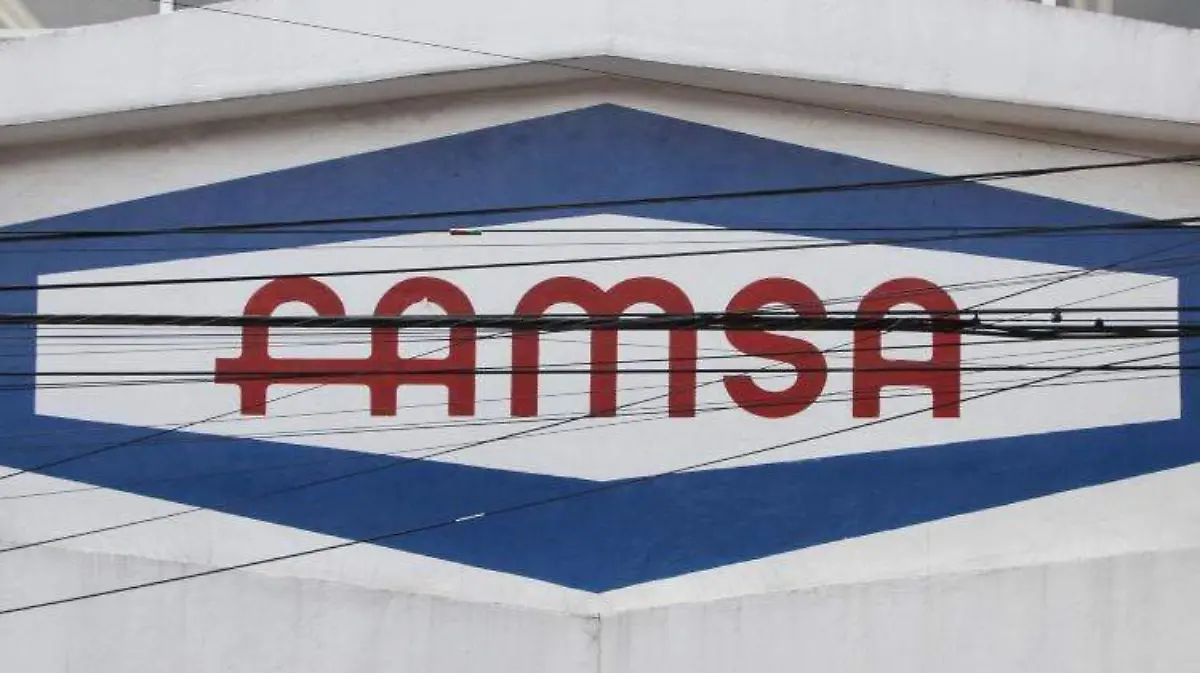 FAMSA (1)