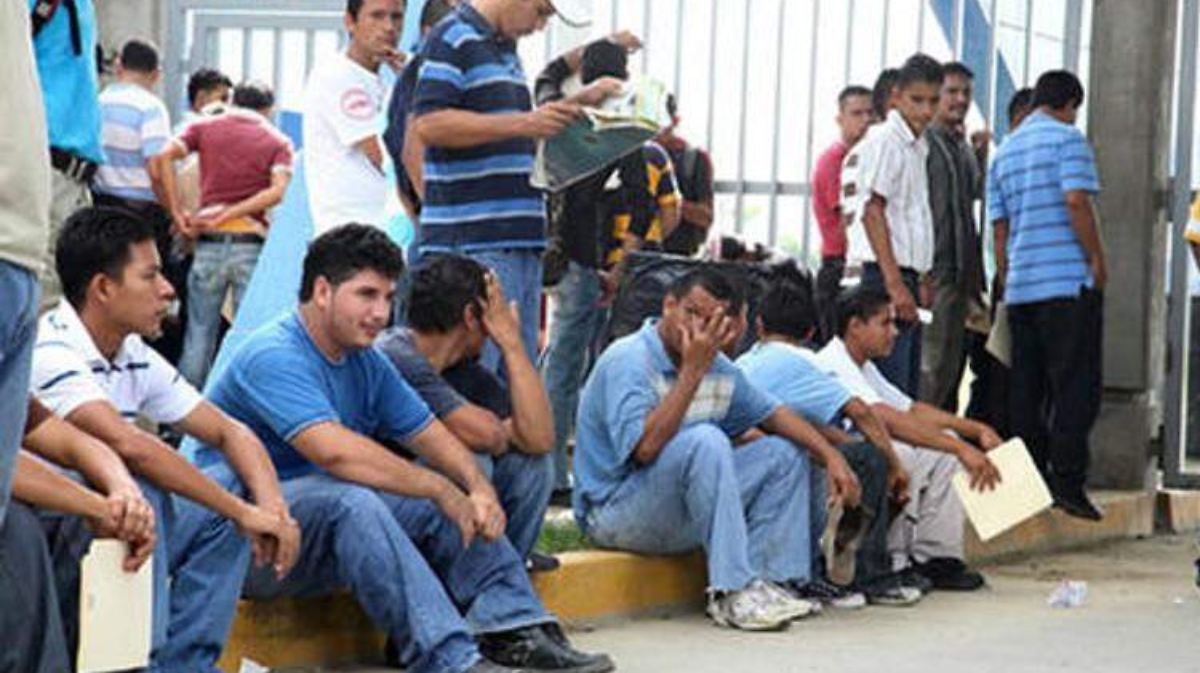 Desocupación laboral juvenil y femenina de Latinoamérica: OIT - El Sol de México | Noticias, Deportes, Gossip, Columnas