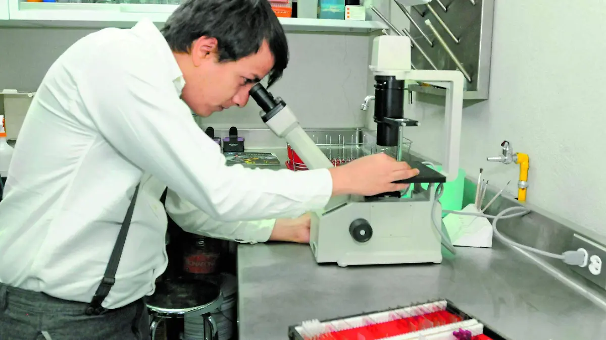Cofecee provedores del sector salud