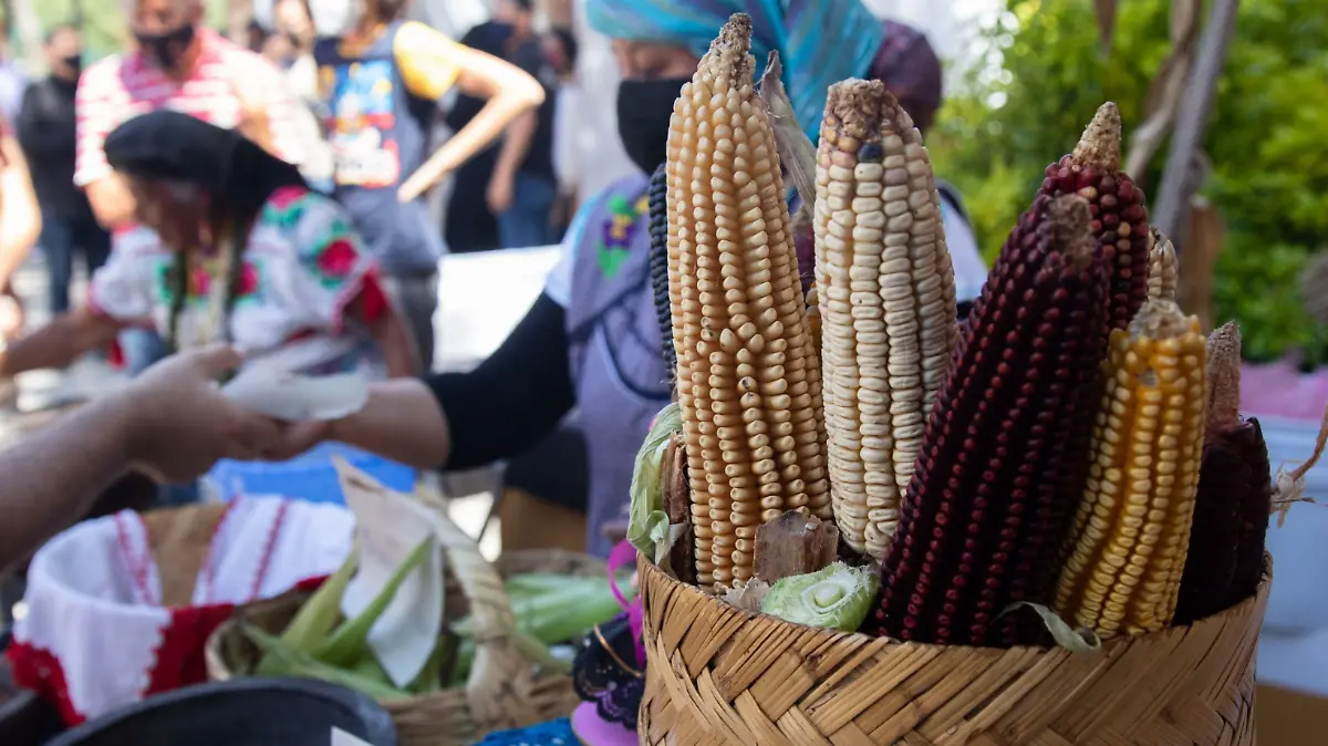 ¿A cuánto las tortillas, marchanta 3