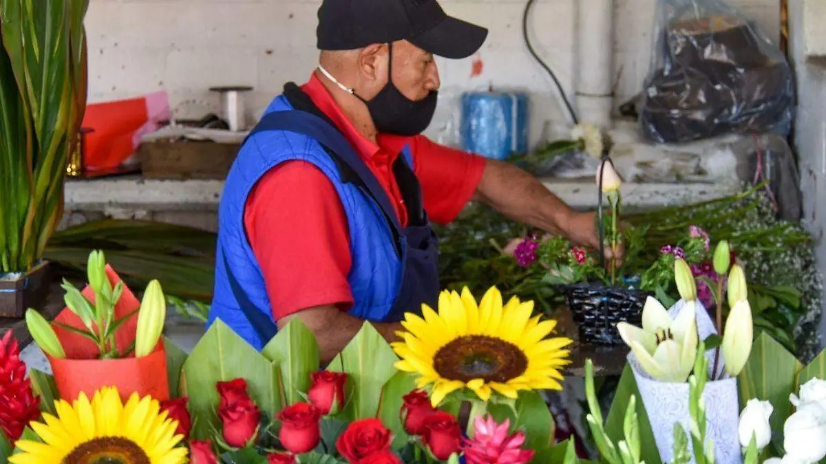 Diseño sin título - 2022-03-16T162520.577