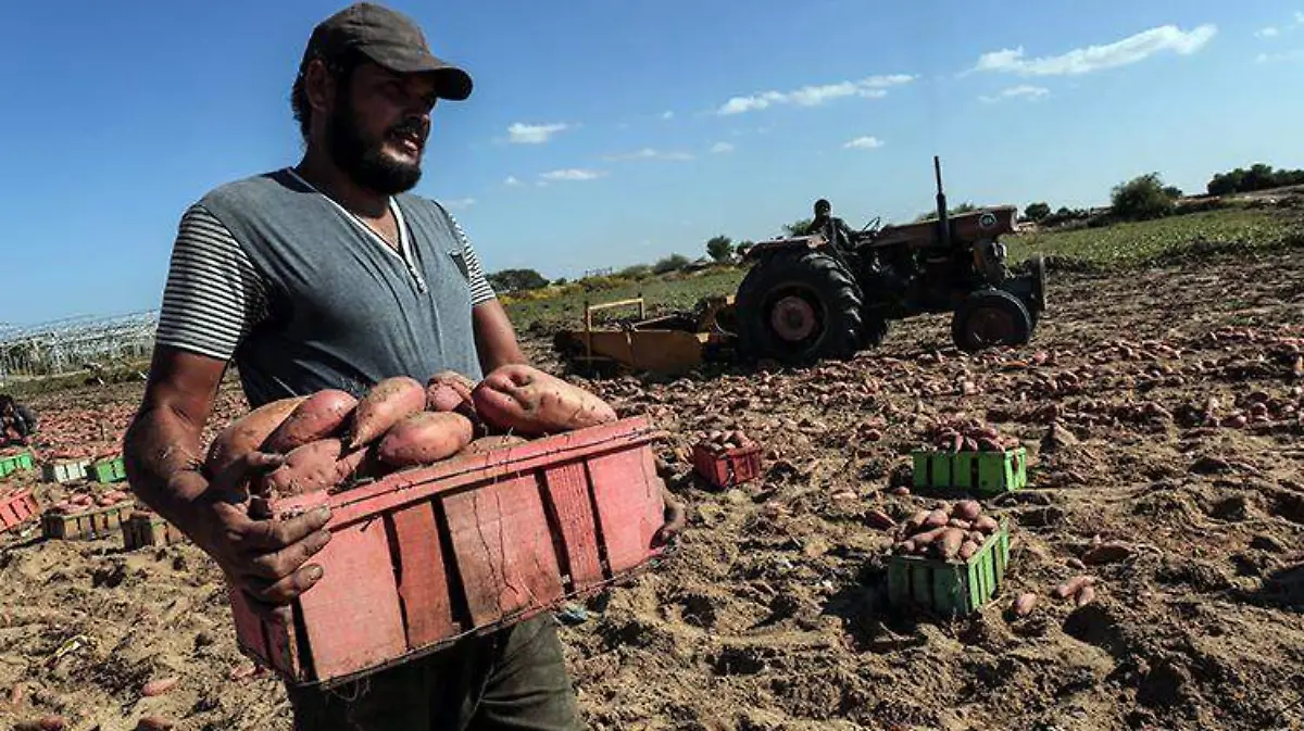agricultores-campo-eu