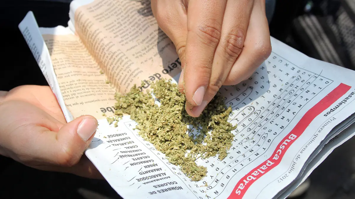 LEGALIZACION DE LA MARIHUANA. FOTO.- ERNESTO MUÑOZ (2)