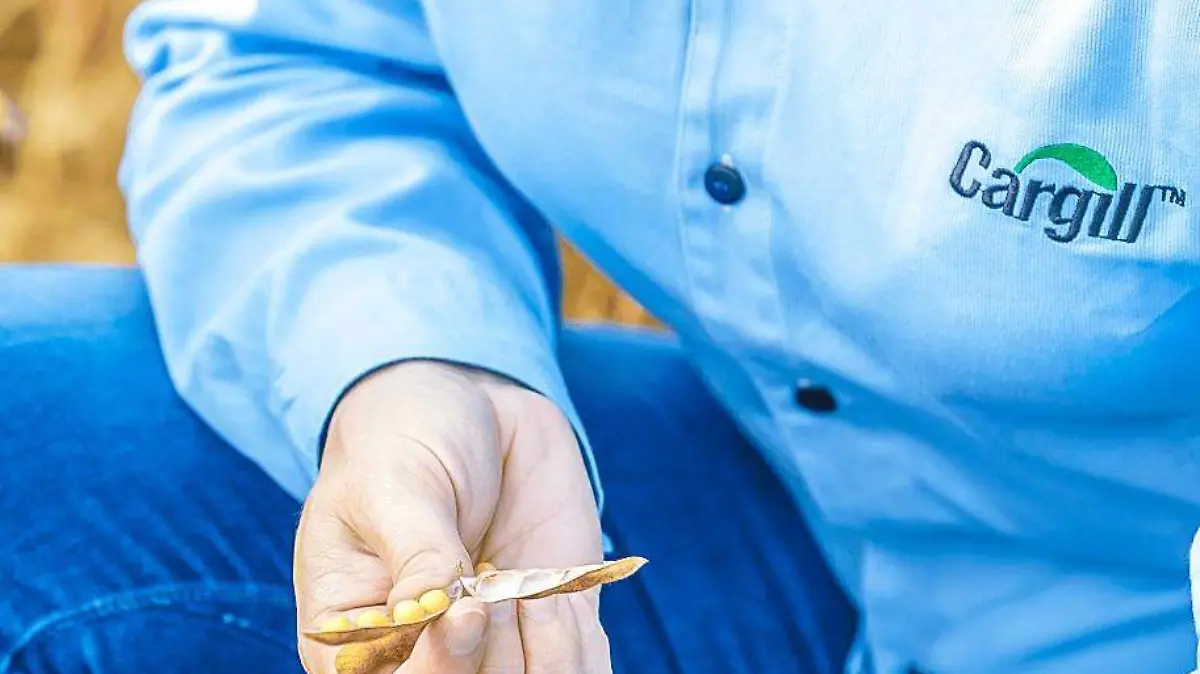 argill se une a la Organización Mundial de la Salud y la FAO para reconocer la importancia de construir un sistema alimentario mundial más seguro y confiable. CORTESÍA @CargillLATAM