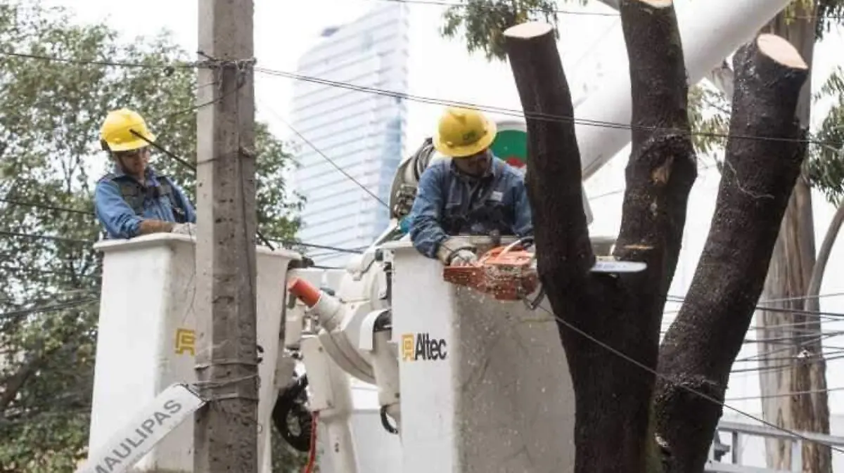 CFE_trabajadores
