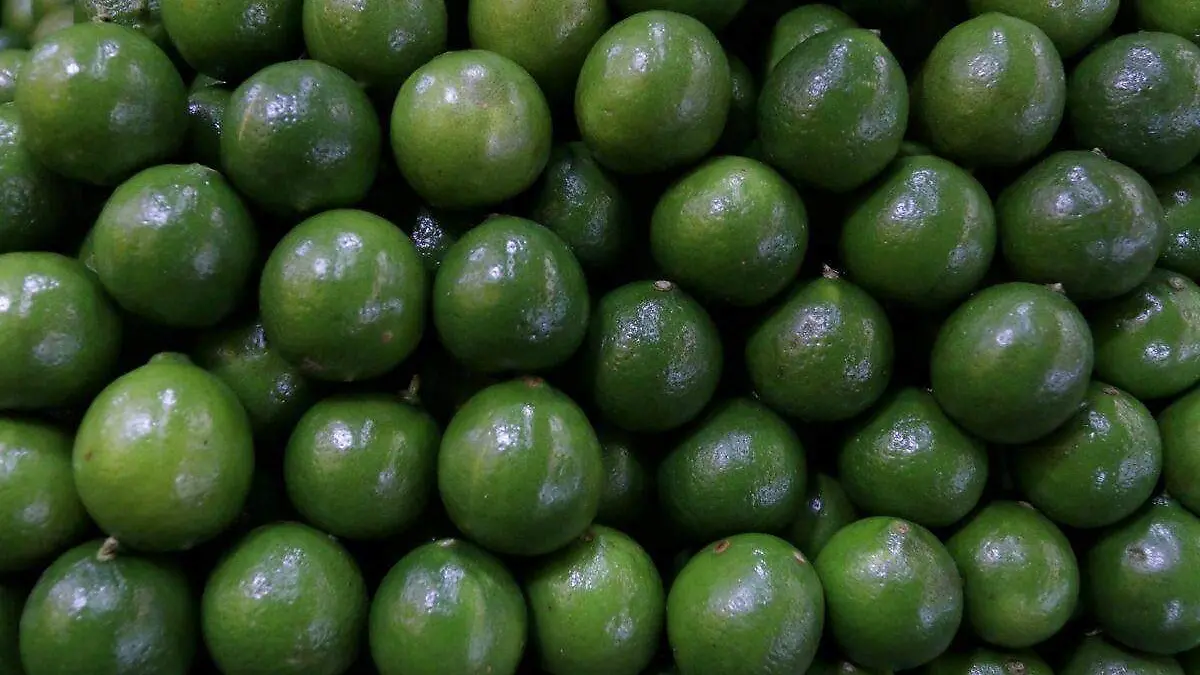 Diseño sin título - 2022-04-15T155141.543