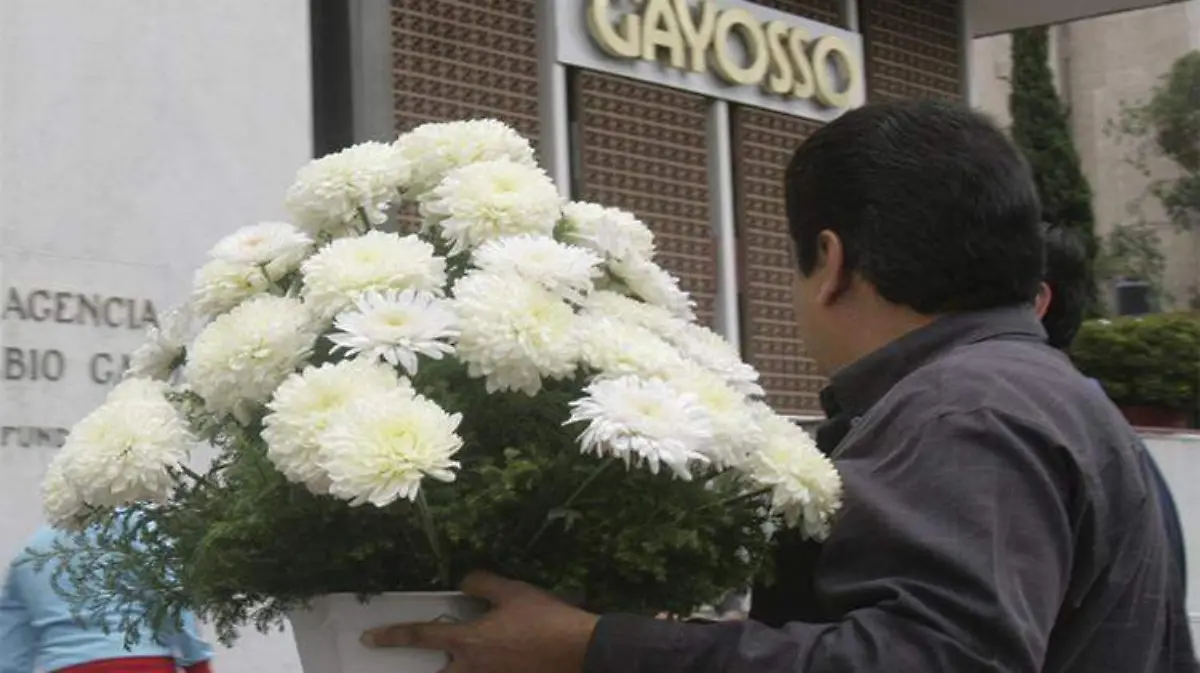 gayosso