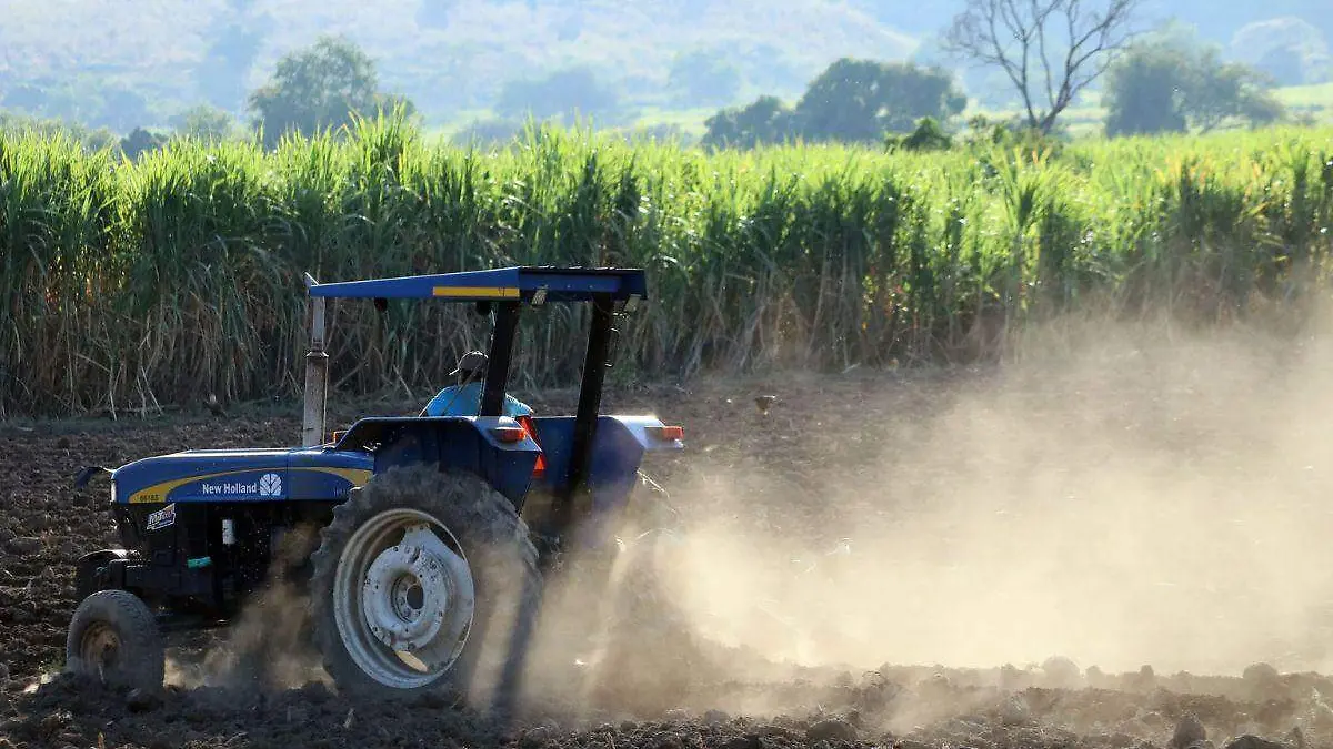 Precios al productor disminuyen en agosto, primer decrecimiento desde 2020