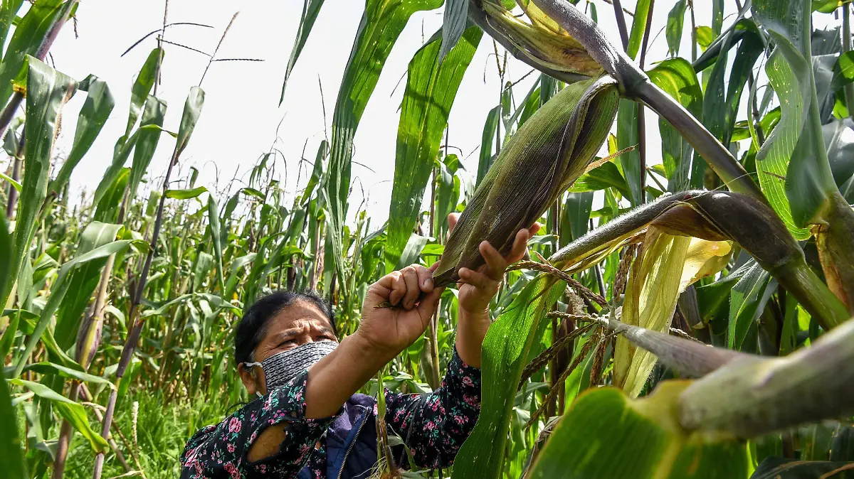 cuartoscuro_833505_impreso