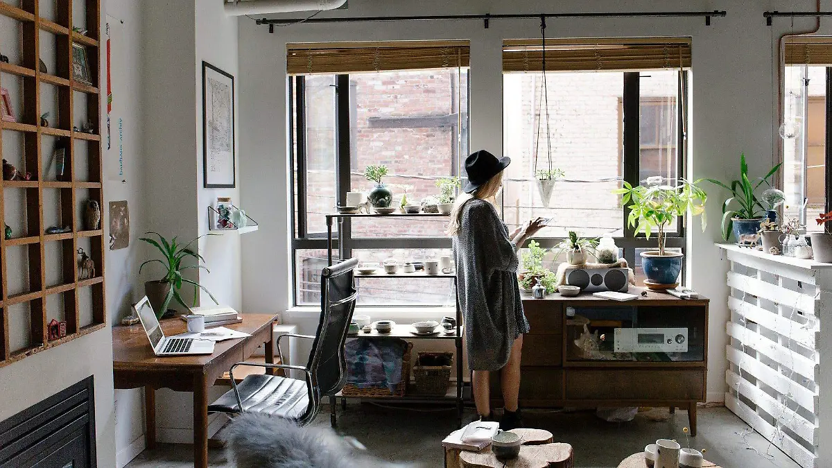 03 INT CORTESÍA PIXABAY (2)