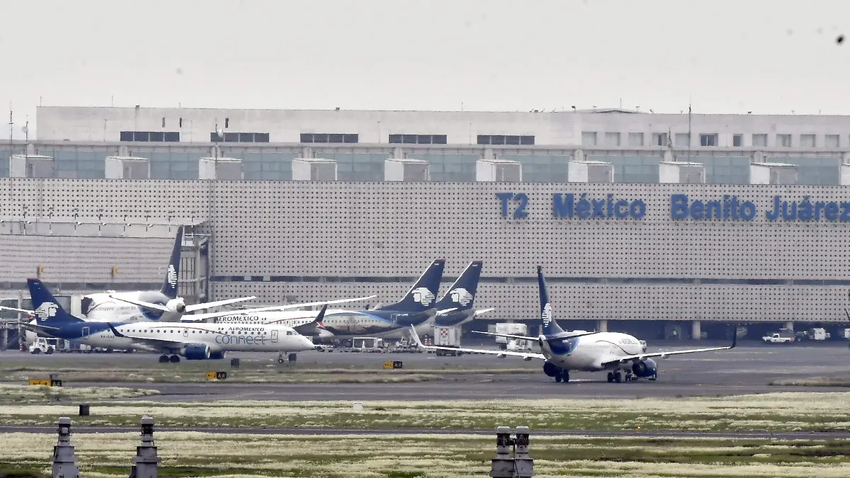 TERMINAL 2 laura lovera