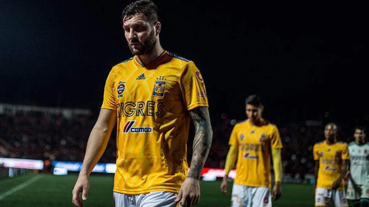 tigres_gignac