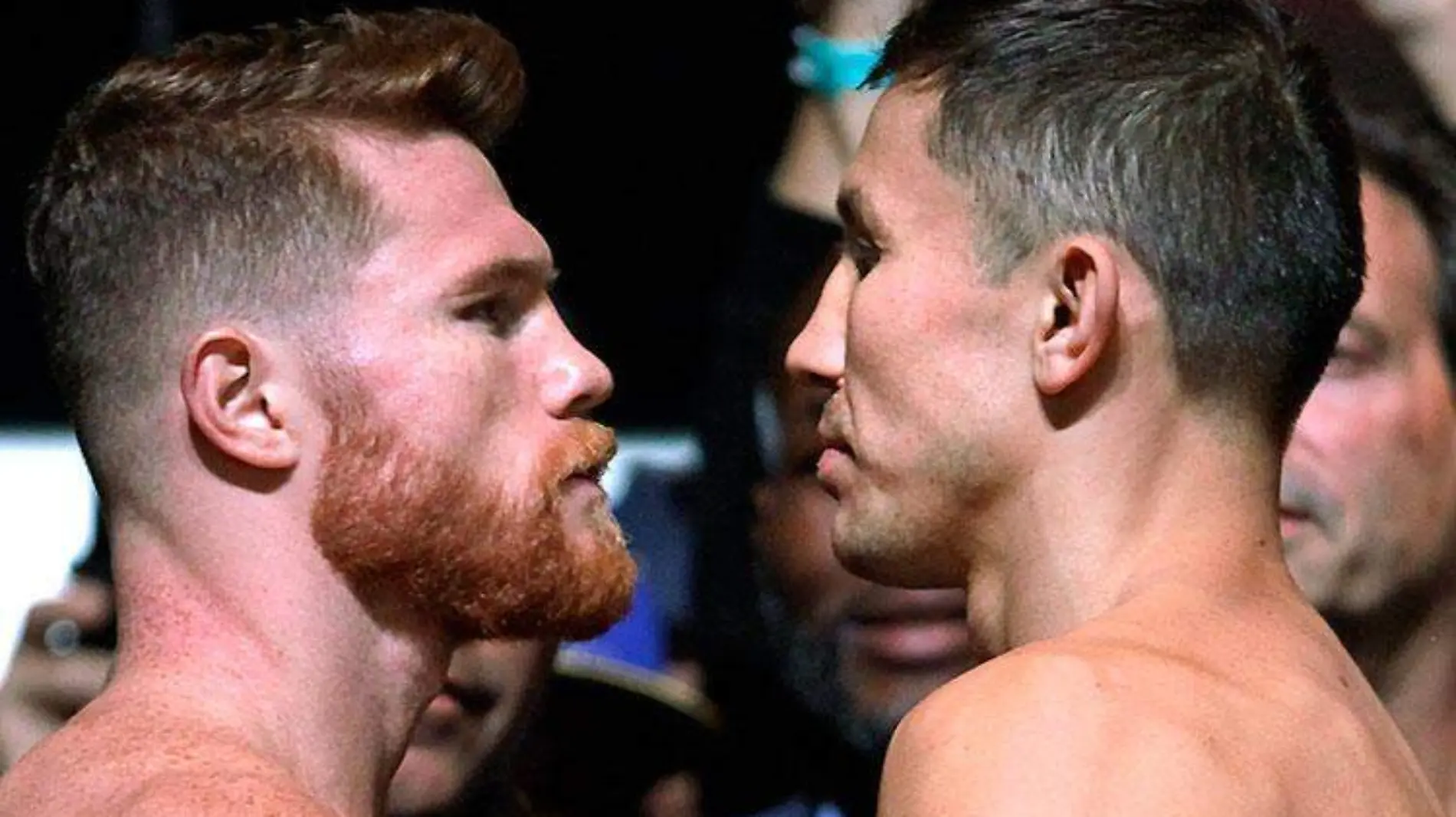 box-canelo-golovkin