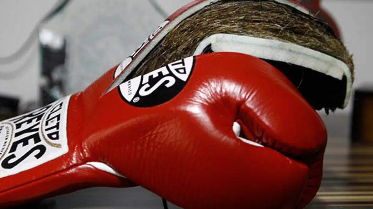 guantes-cletoreyes1