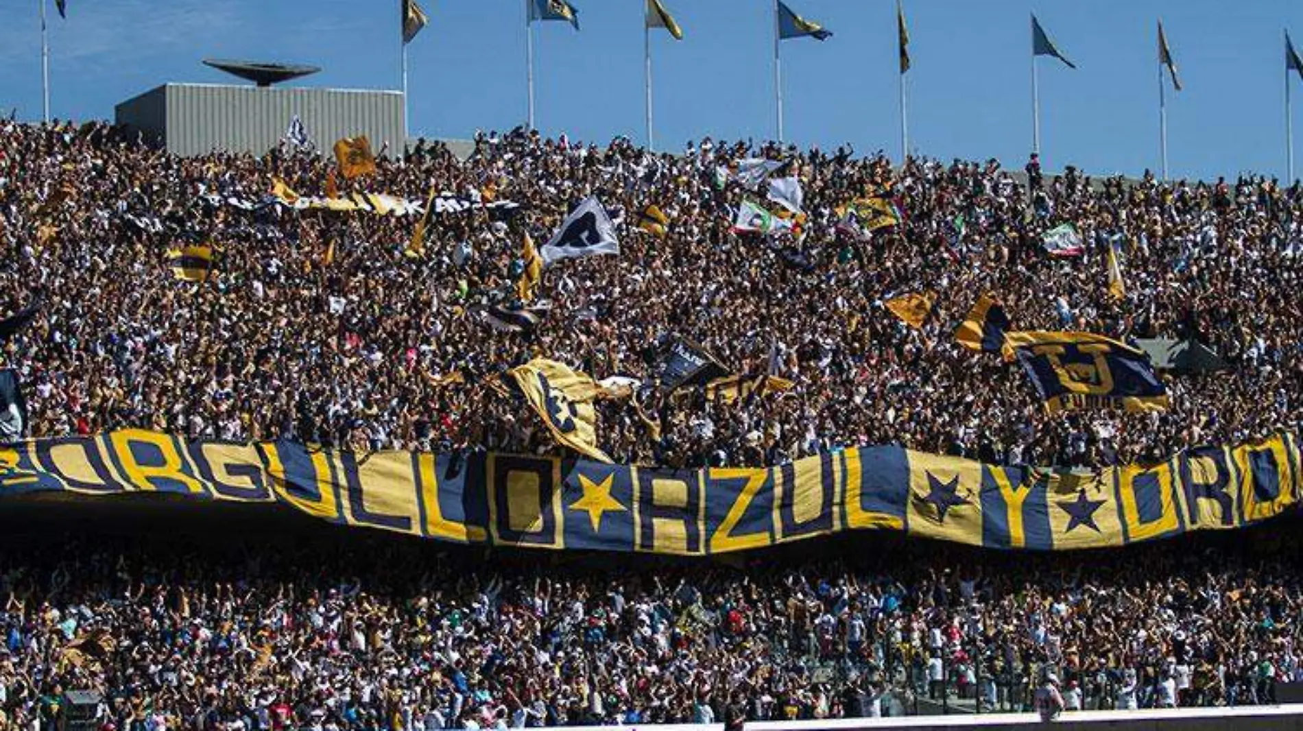 Pumas_UNAM